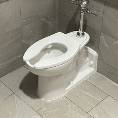 Toilet Repair